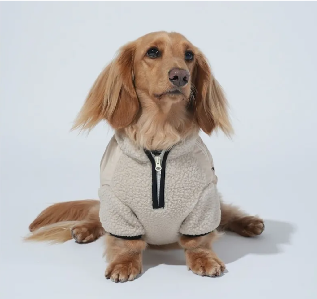 螢幕擷取畫面 2025-11-27 155651