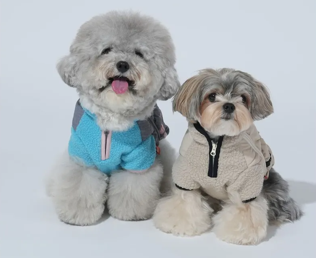 螢幕擷取畫面 2025-11-27 155642