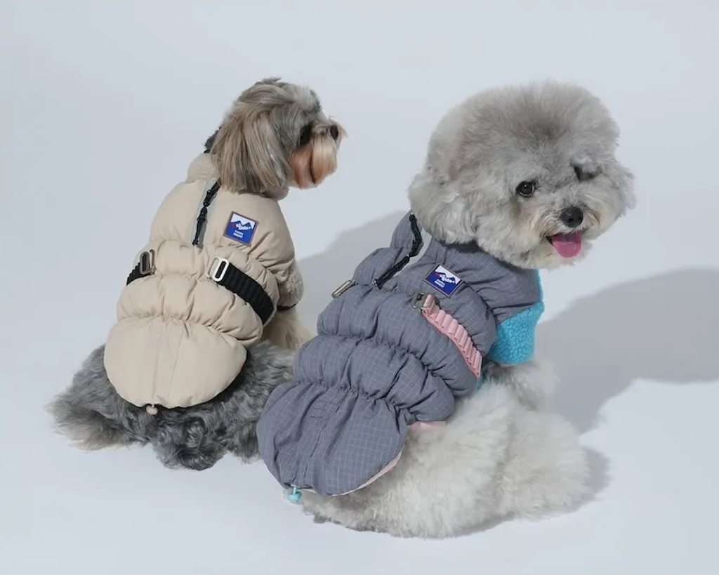 螢幕擷取畫面 2025-11-27 155632