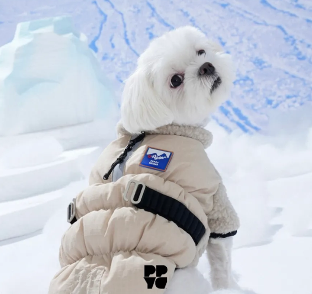 螢幕擷取畫面 2025-11-27 155602