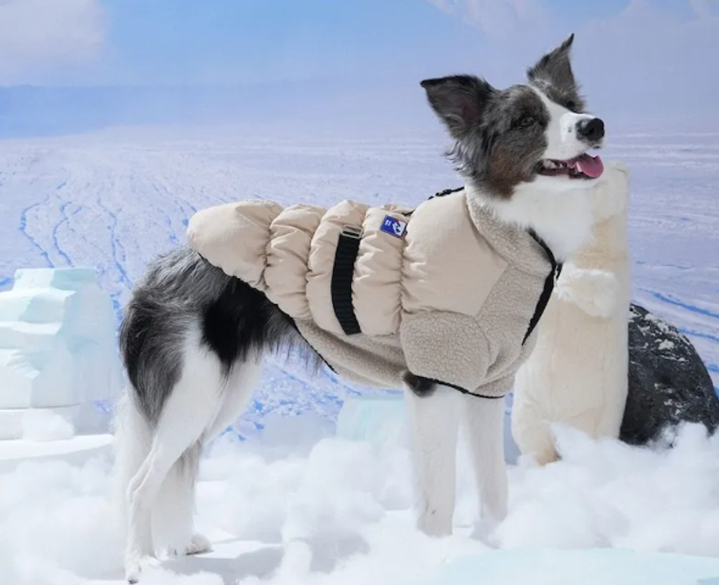 螢幕擷取畫面 2025-11-27 153247