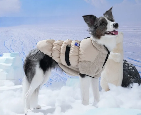 螢幕擷取畫面 2025-11-27 153247