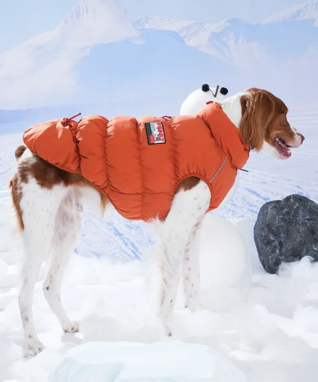 螢幕擷取畫面 2025-11-27 161011