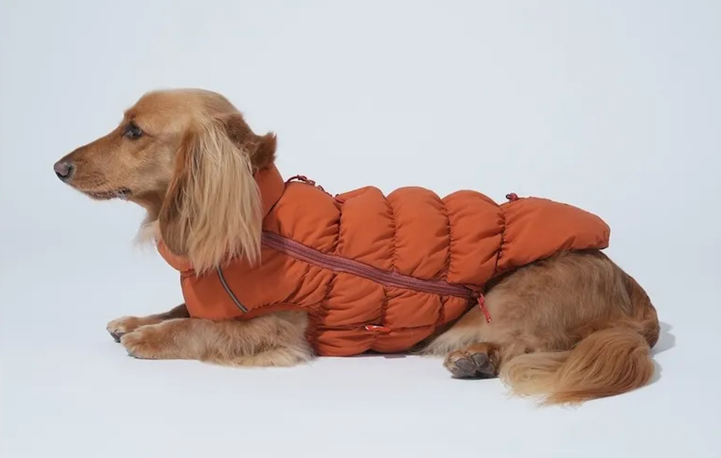 螢幕擷取畫面 2025-11-27 160939