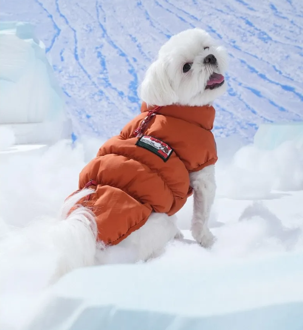 螢幕擷取畫面 2025-11-27 160916