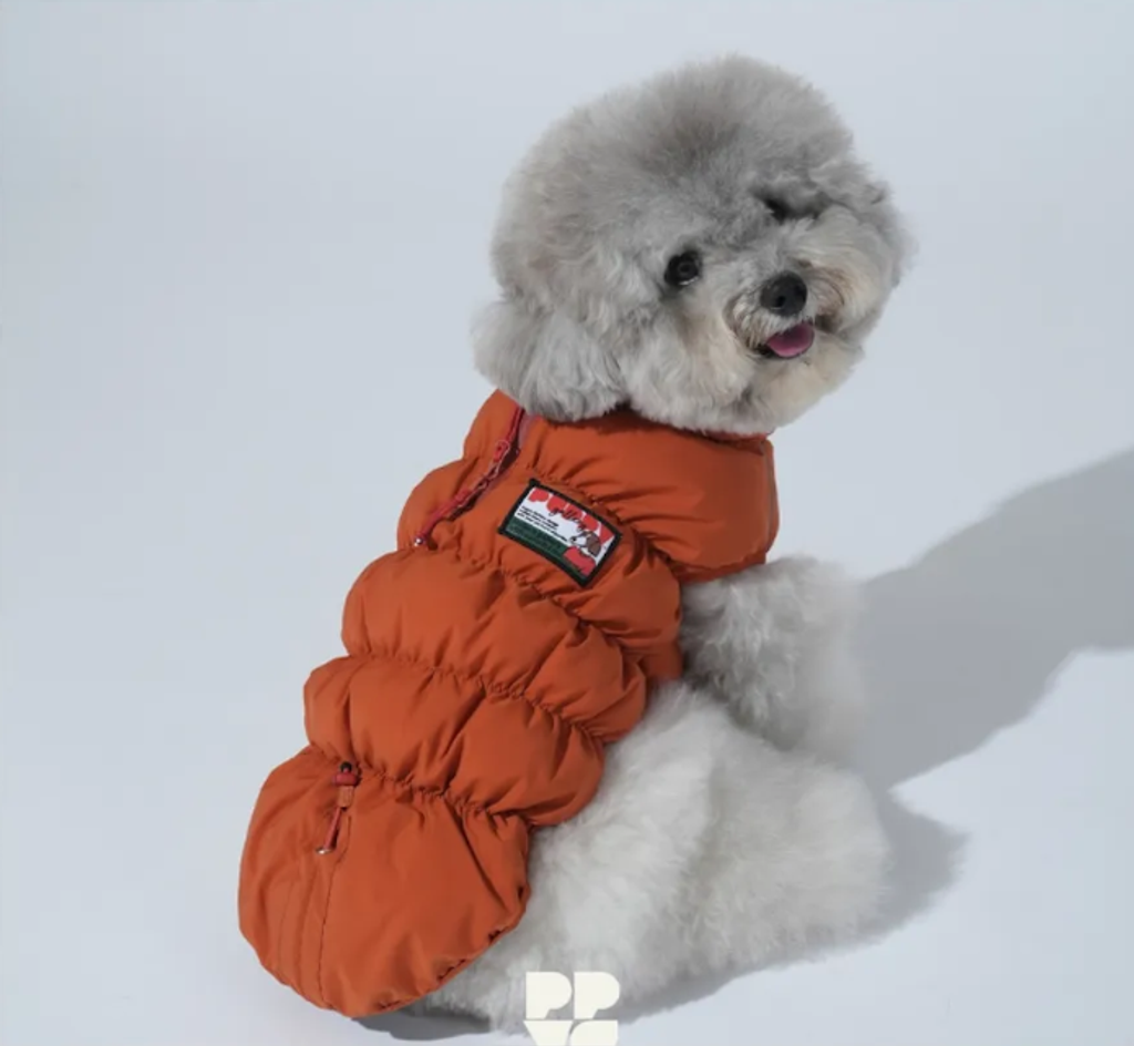 螢幕擷取畫面 2025-11-27 160904