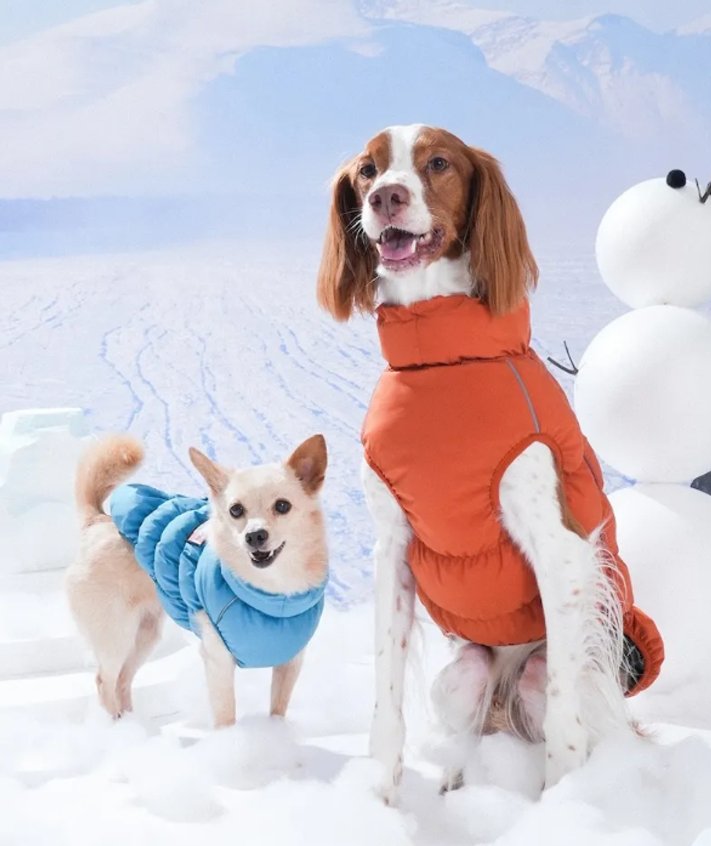 螢幕擷取畫面 2025-11-27 160957