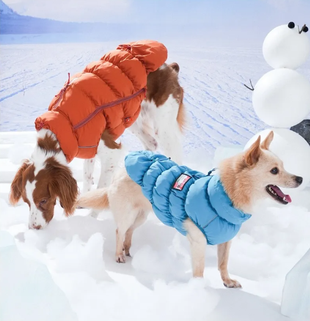 螢幕擷取畫面 2025-11-27 161018