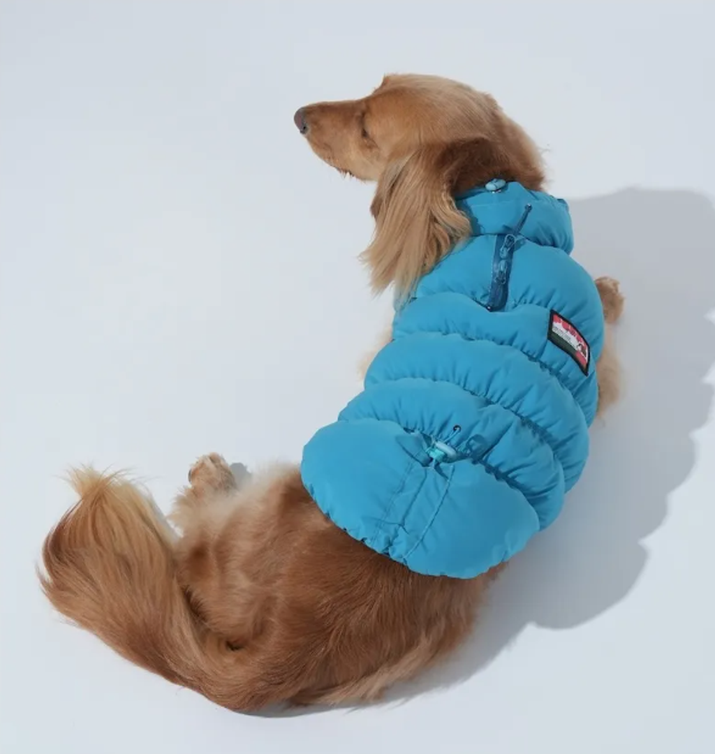 螢幕擷取畫面 2025-11-27 161631