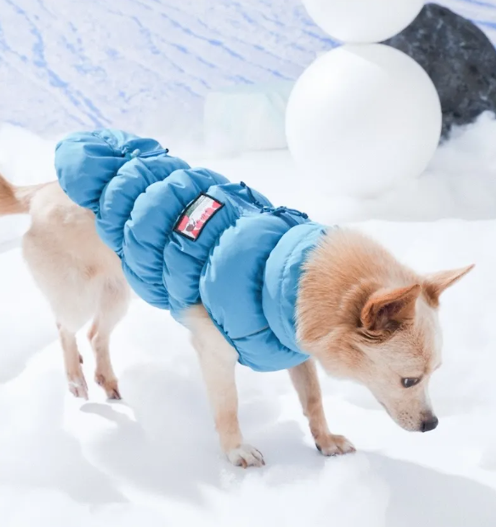 螢幕擷取畫面 2025-11-27 161626