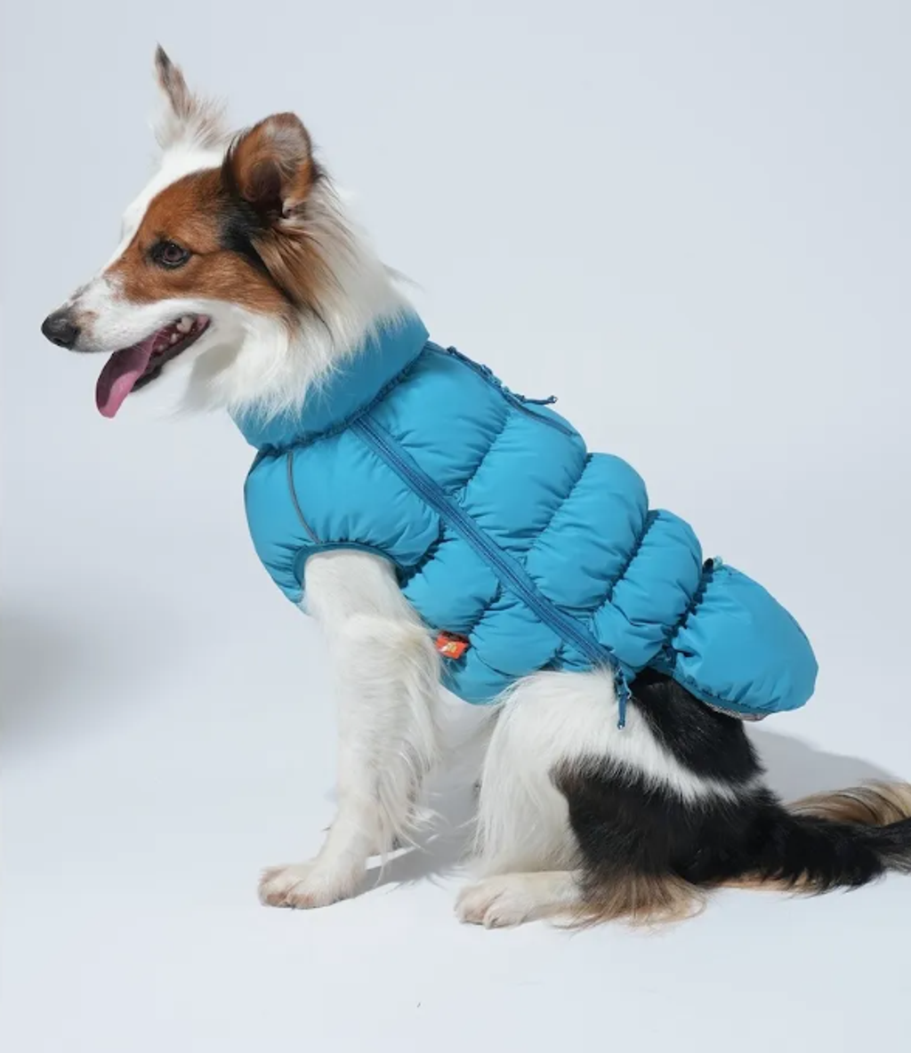 螢幕擷取畫面 2025-11-27 161617