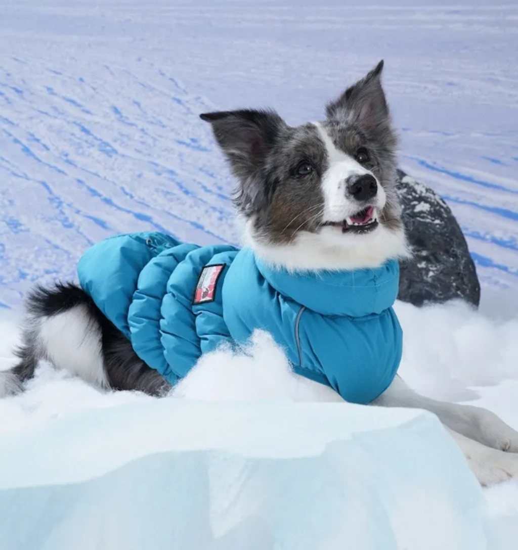 螢幕擷取畫面 2025-11-27 161548