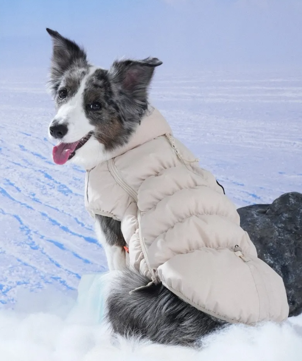 螢幕擷取畫面 2025-11-27 163721