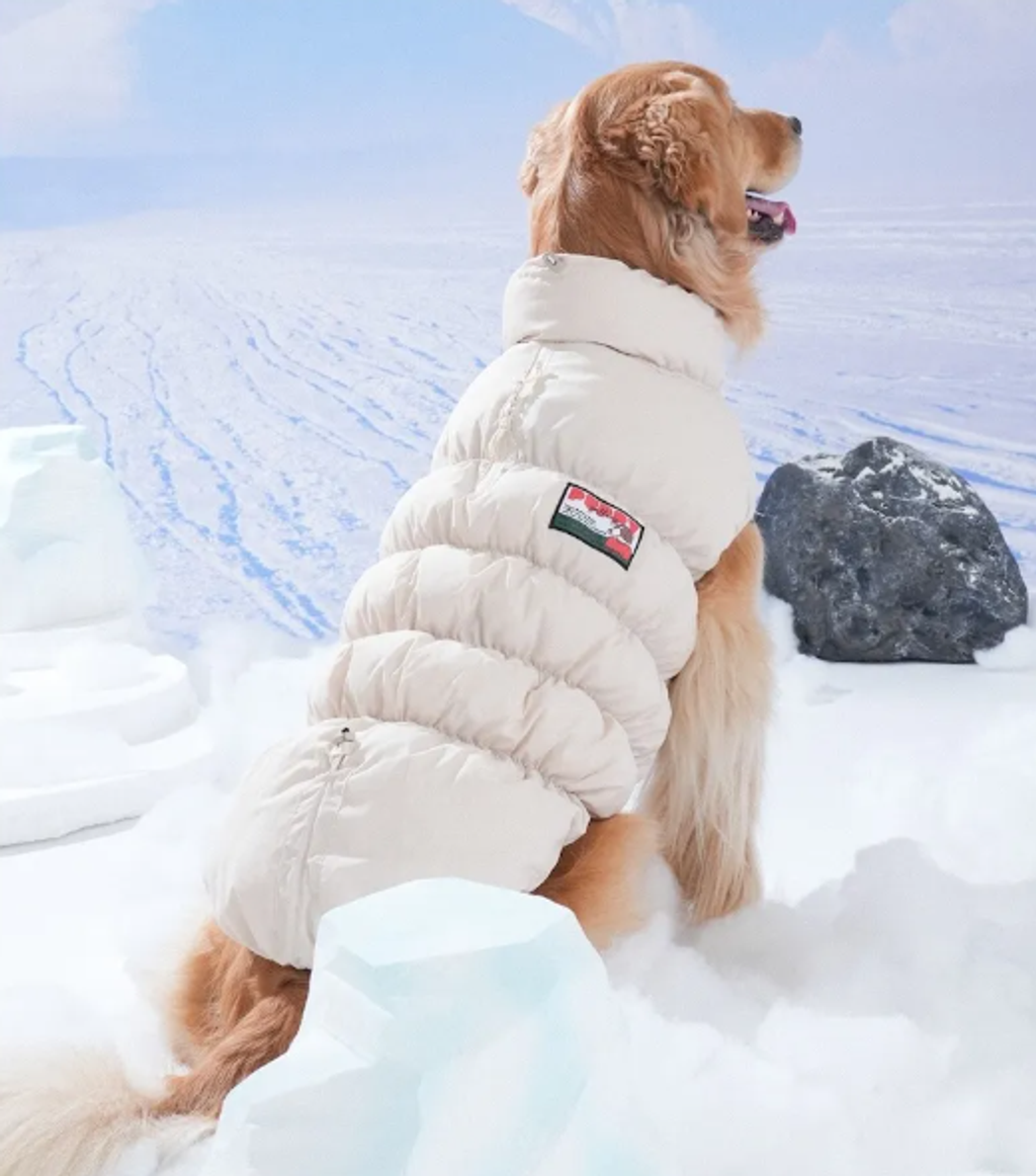 螢幕擷取畫面 2025-11-27 163806