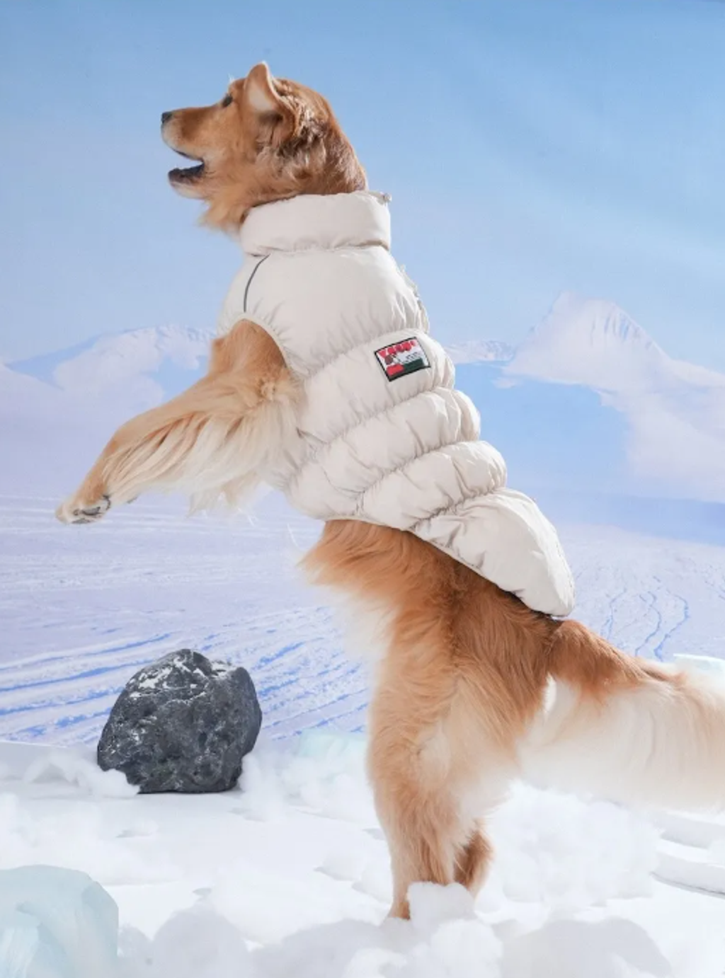 螢幕擷取畫面 2025-11-27 163800