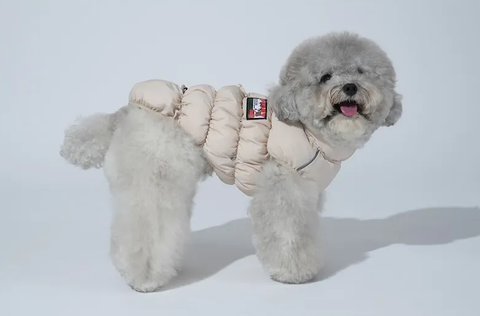 螢幕擷取畫面 2025-11-27 163851