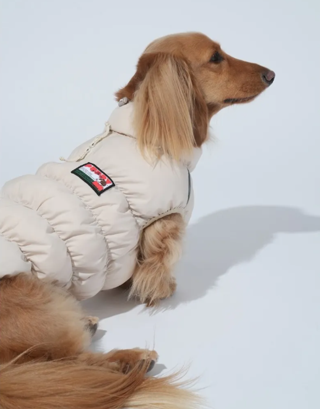 螢幕擷取畫面 2025-11-27 163842