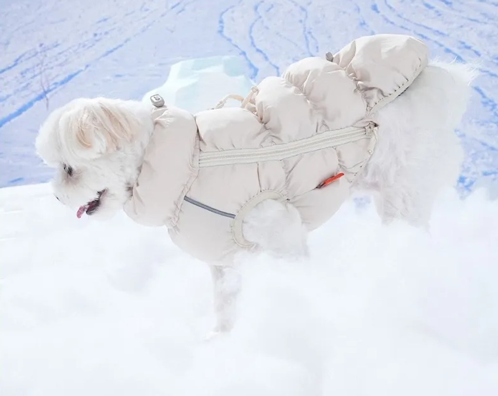 螢幕擷取畫面 2025-11-27 163912