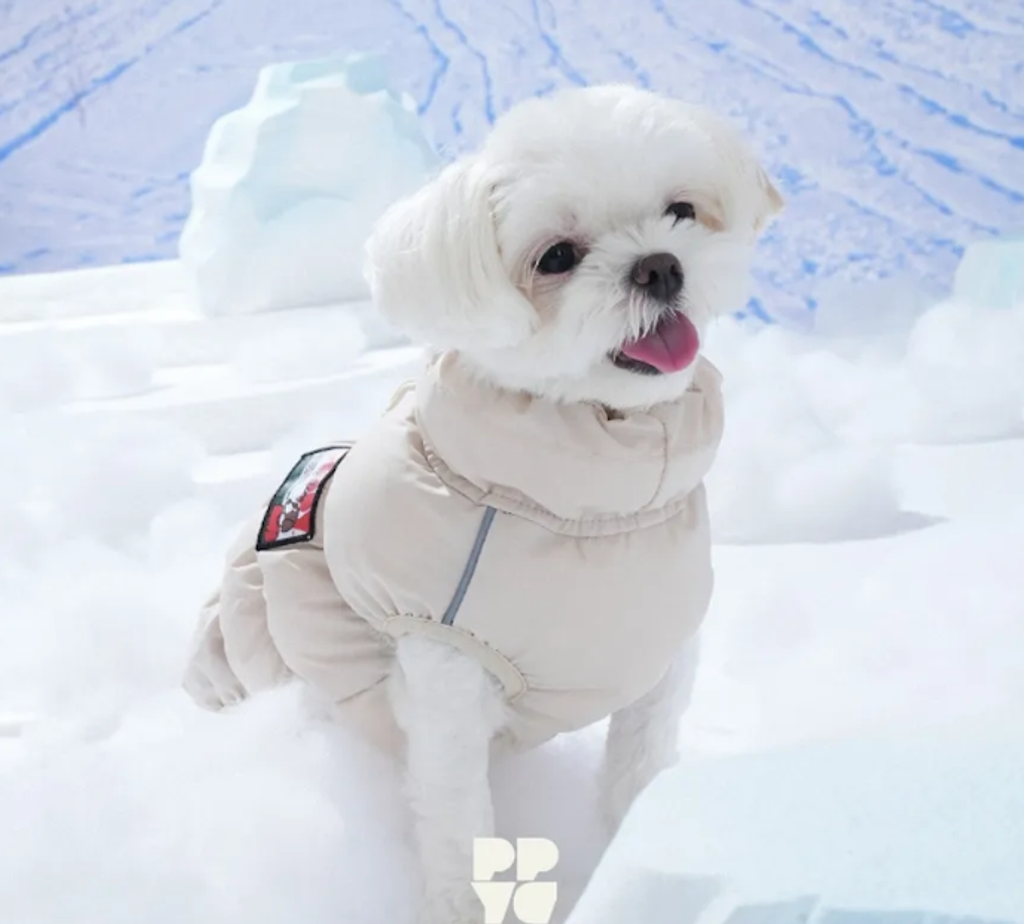 螢幕擷取畫面 2025-11-27 163936