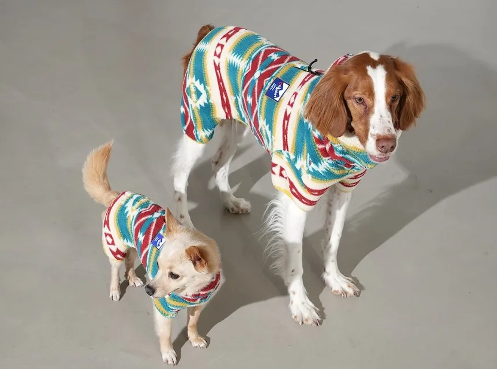 螢幕擷取畫面 2025-11-27 164834