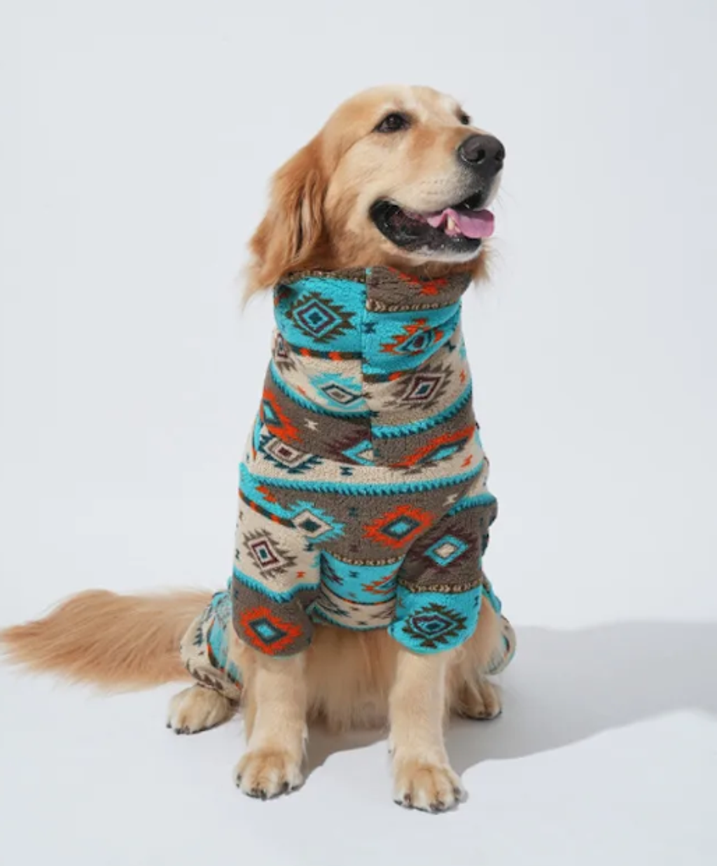 螢幕擷取畫面 2025-11-27 165342