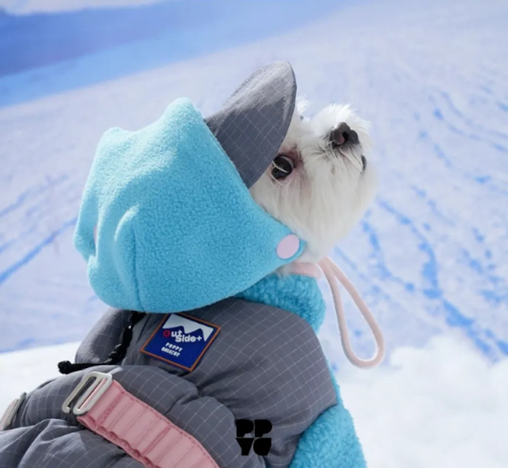 螢幕擷取畫面 2025-12-03 123253