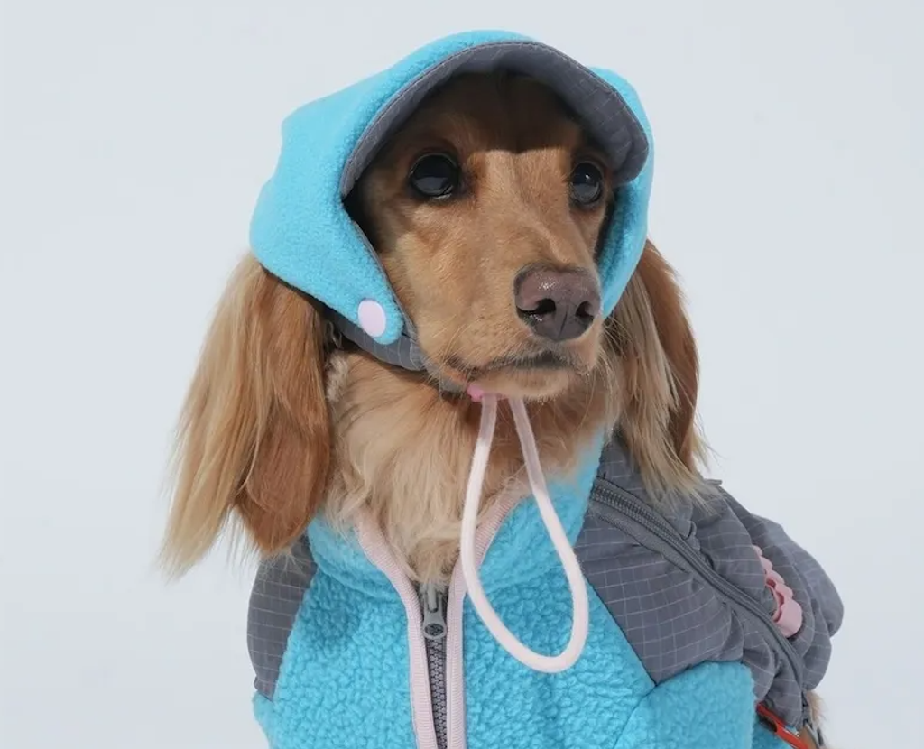 螢幕擷取畫面 2025-12-03 123326