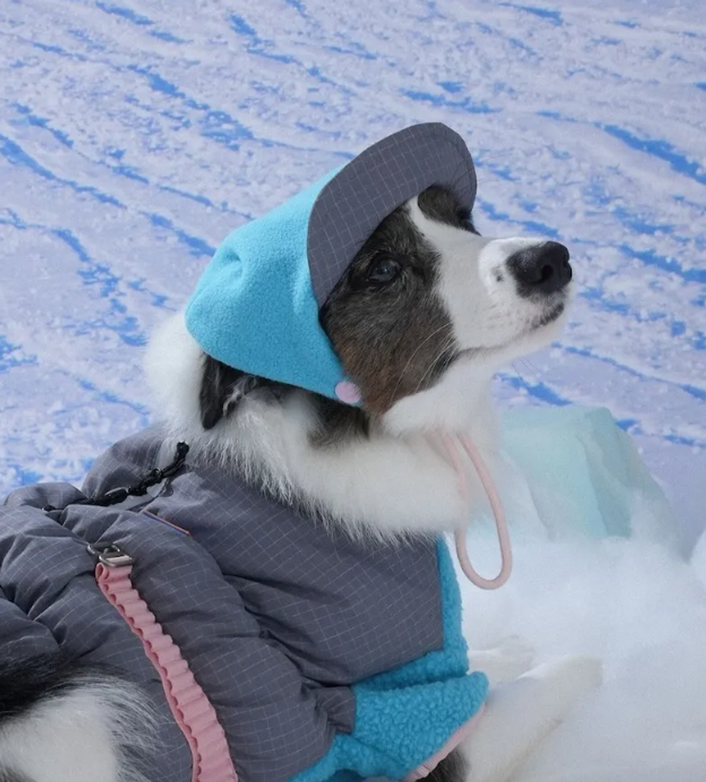 螢幕擷取畫面 2025-12-03 123358