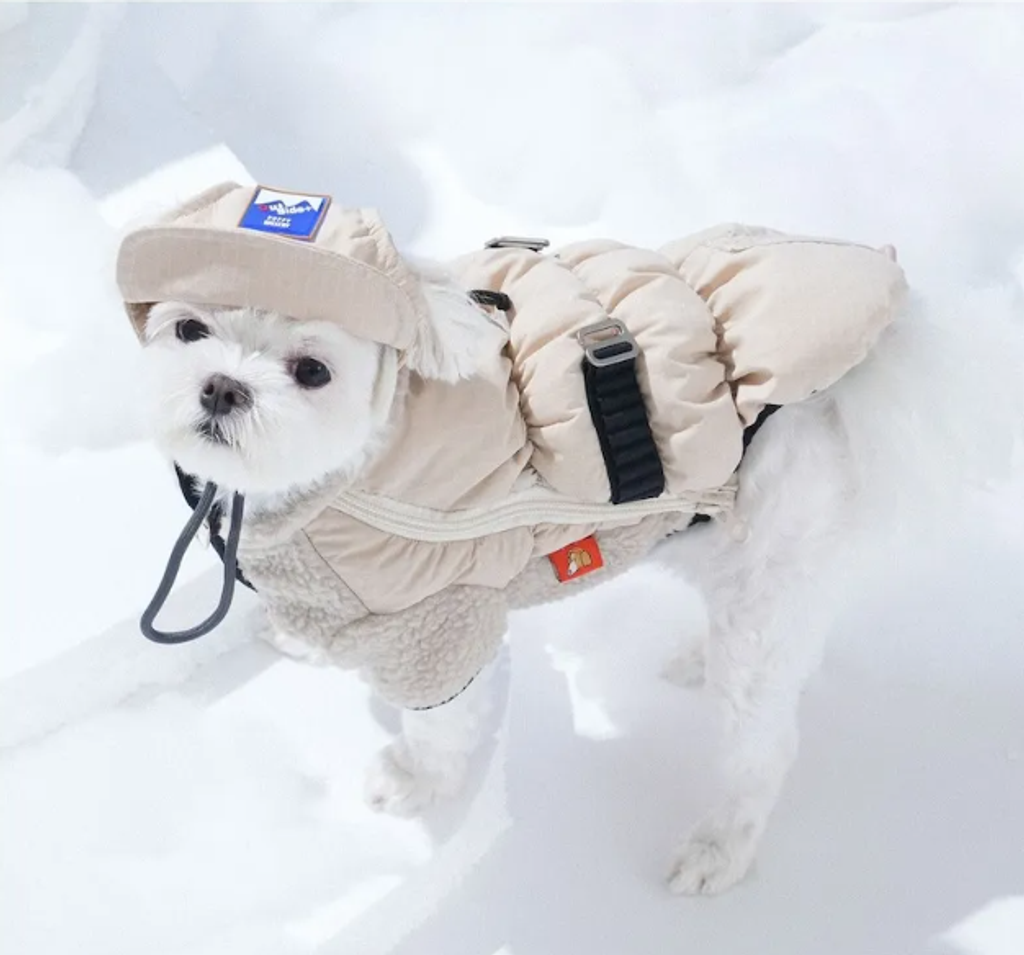 螢幕擷取畫面 2025-12-03 124025