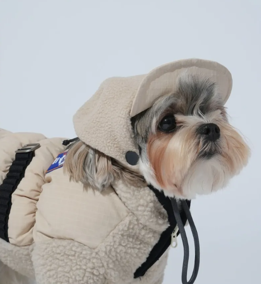 螢幕擷取畫面 2025-12-03 124016