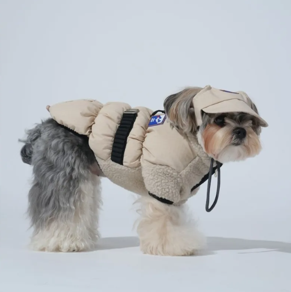 螢幕擷取畫面 2025-12-03 124005