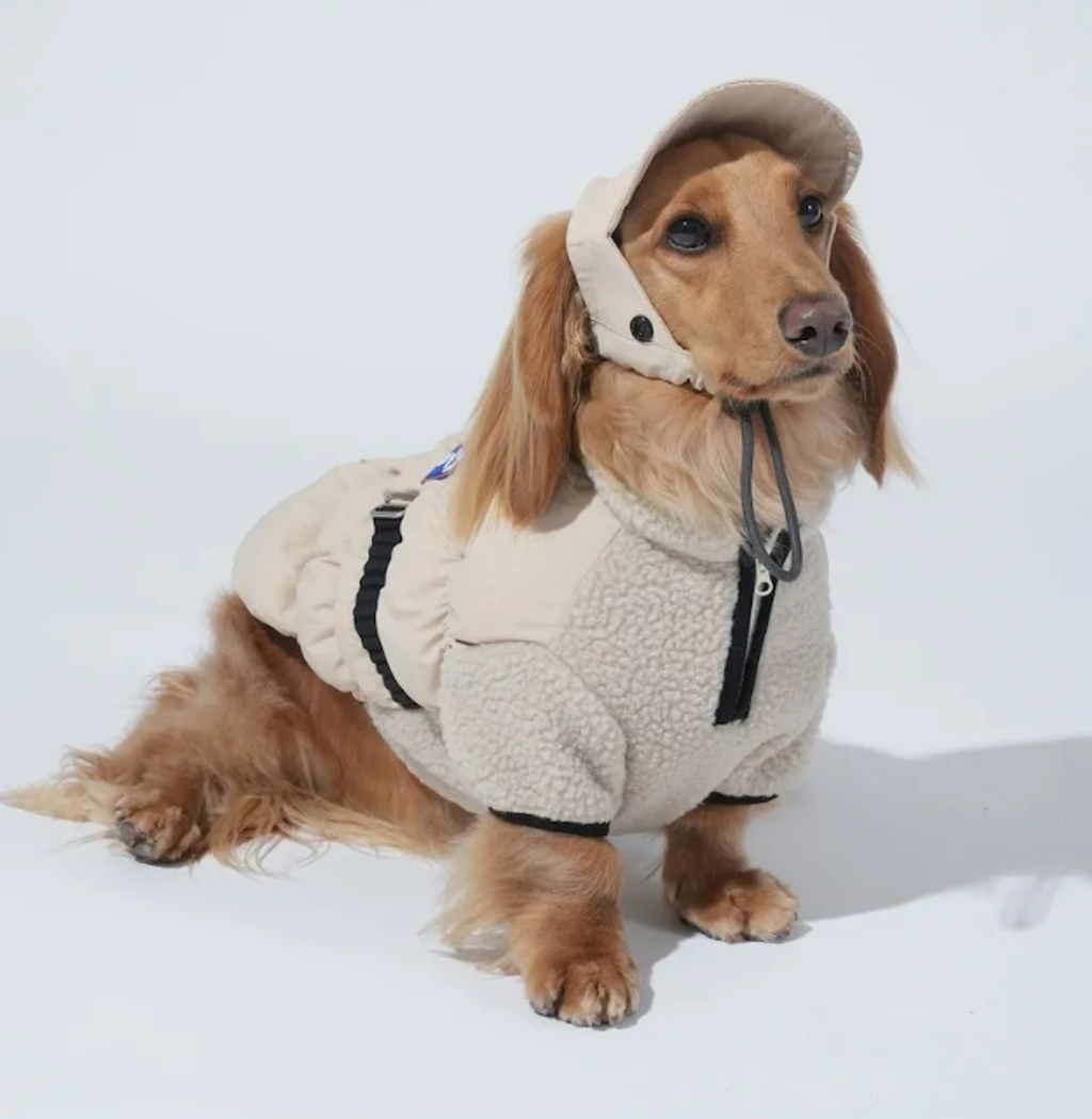 螢幕擷取畫面 2025-12-03 123948