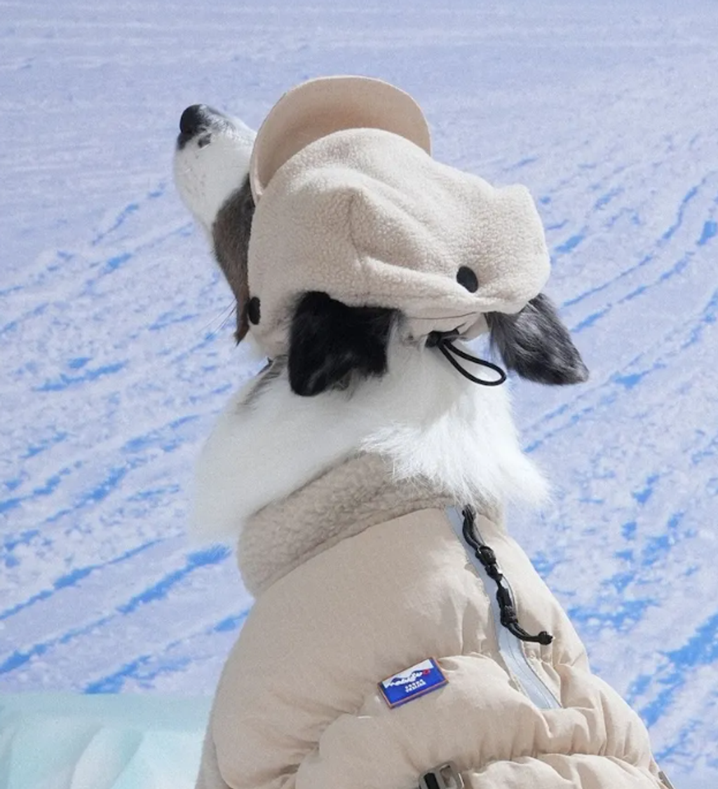 螢幕擷取畫面 2025-12-03 123936