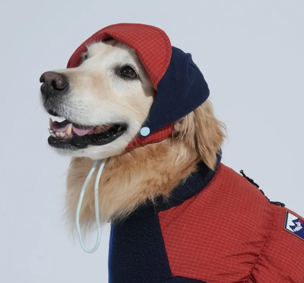 螢幕擷取畫面 2025-12-03 125329