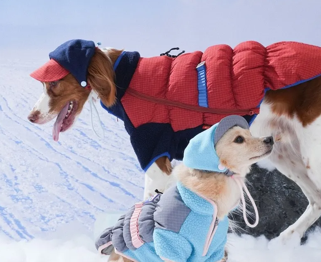 螢幕擷取畫面 2025-12-03 125303