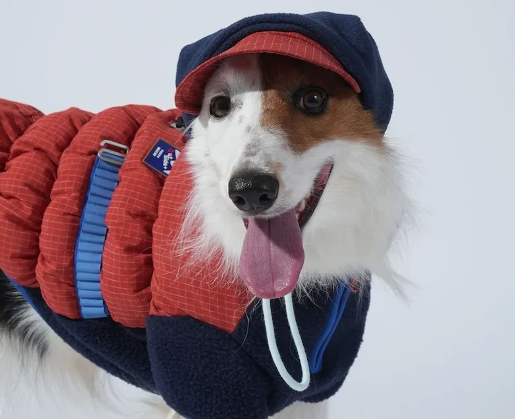 螢幕擷取畫面 2025-12-03 125251