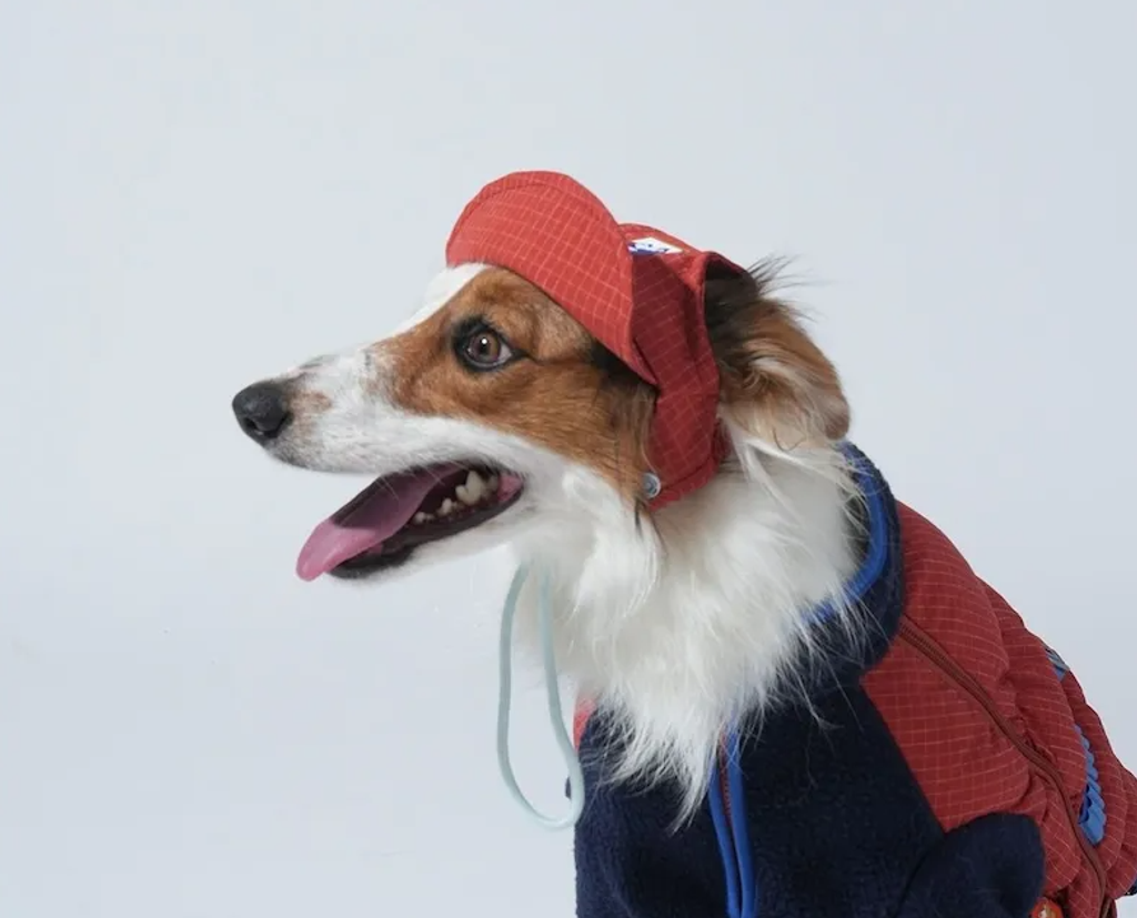 螢幕擷取畫面 2025-12-03 125242