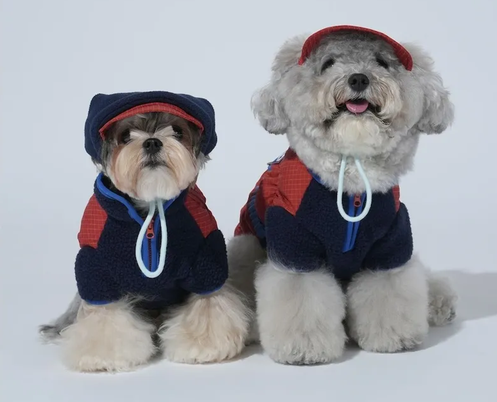 螢幕擷取畫面 2025-12-03 125234