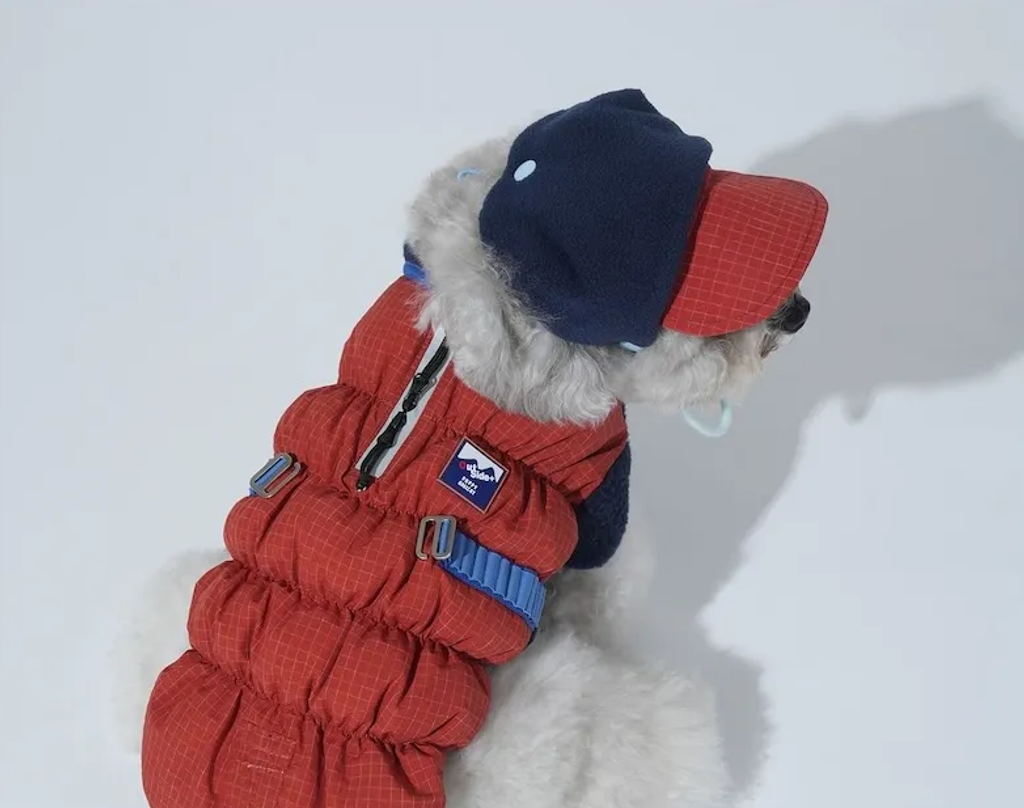 螢幕擷取畫面 2025-12-03 125227