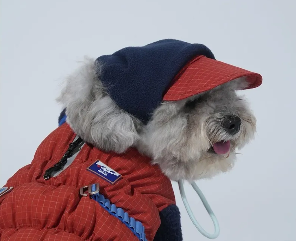 螢幕擷取畫面 2025-12-03 125217