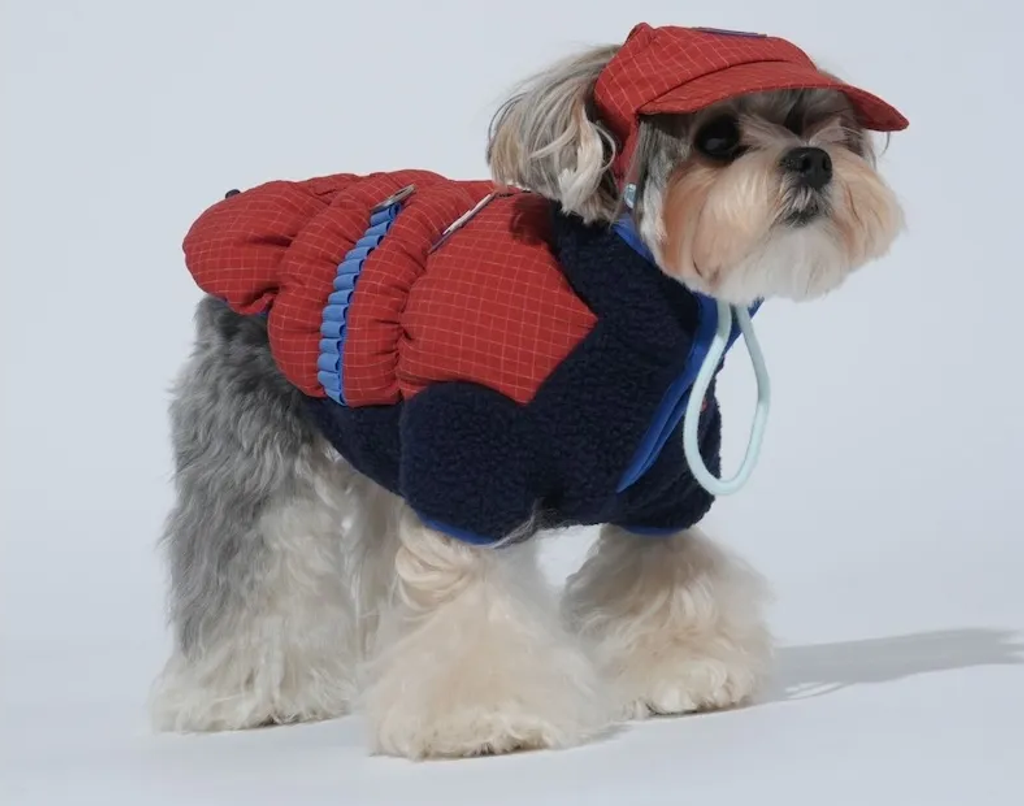 螢幕擷取畫面 2025-12-03 125203