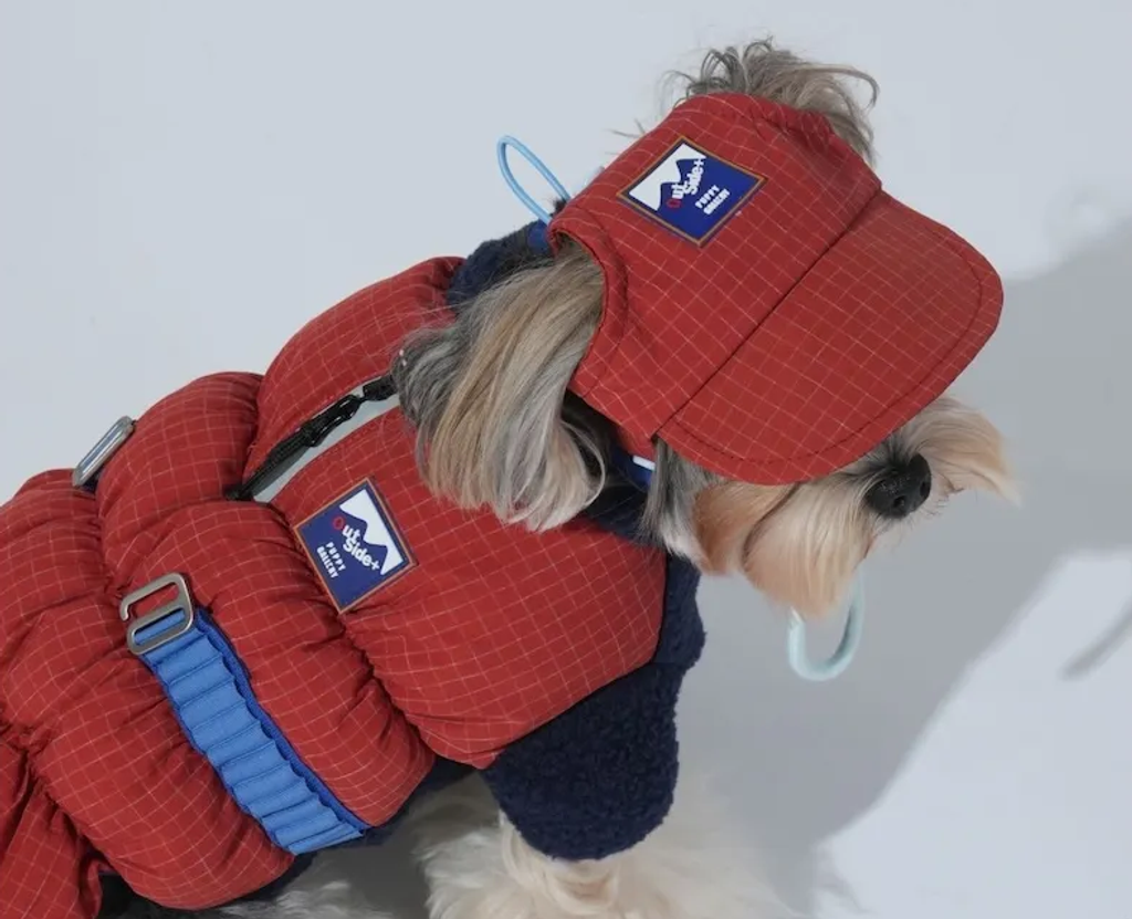 螢幕擷取畫面 2025-12-03 125150