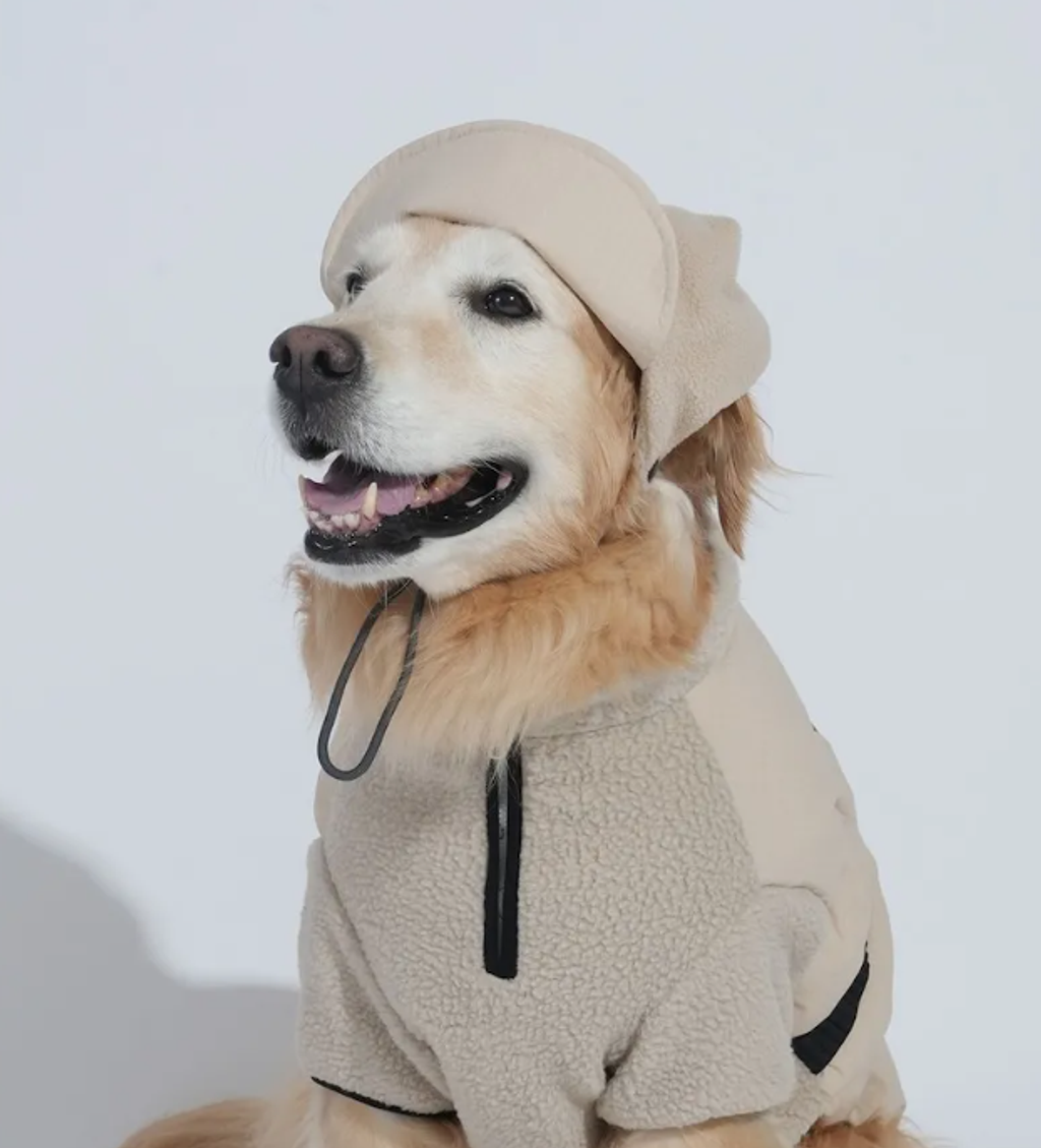 螢幕擷取畫面 2025-12-03 125336