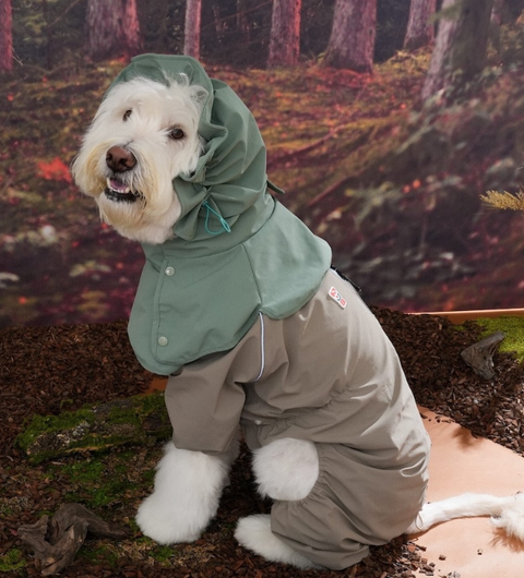 螢幕擷取畫面 2025-12-03 133455