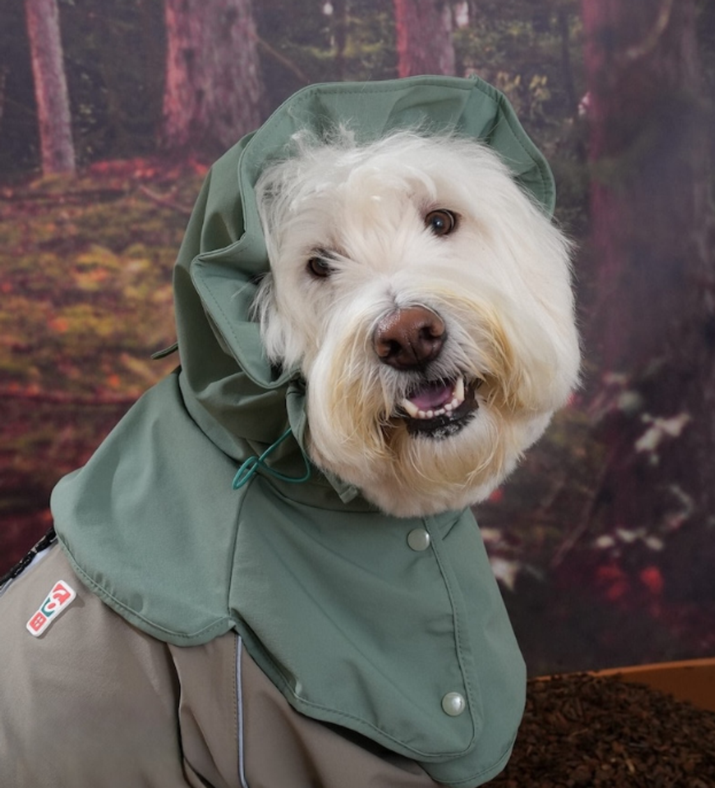 螢幕擷取畫面 2025-12-03 133449