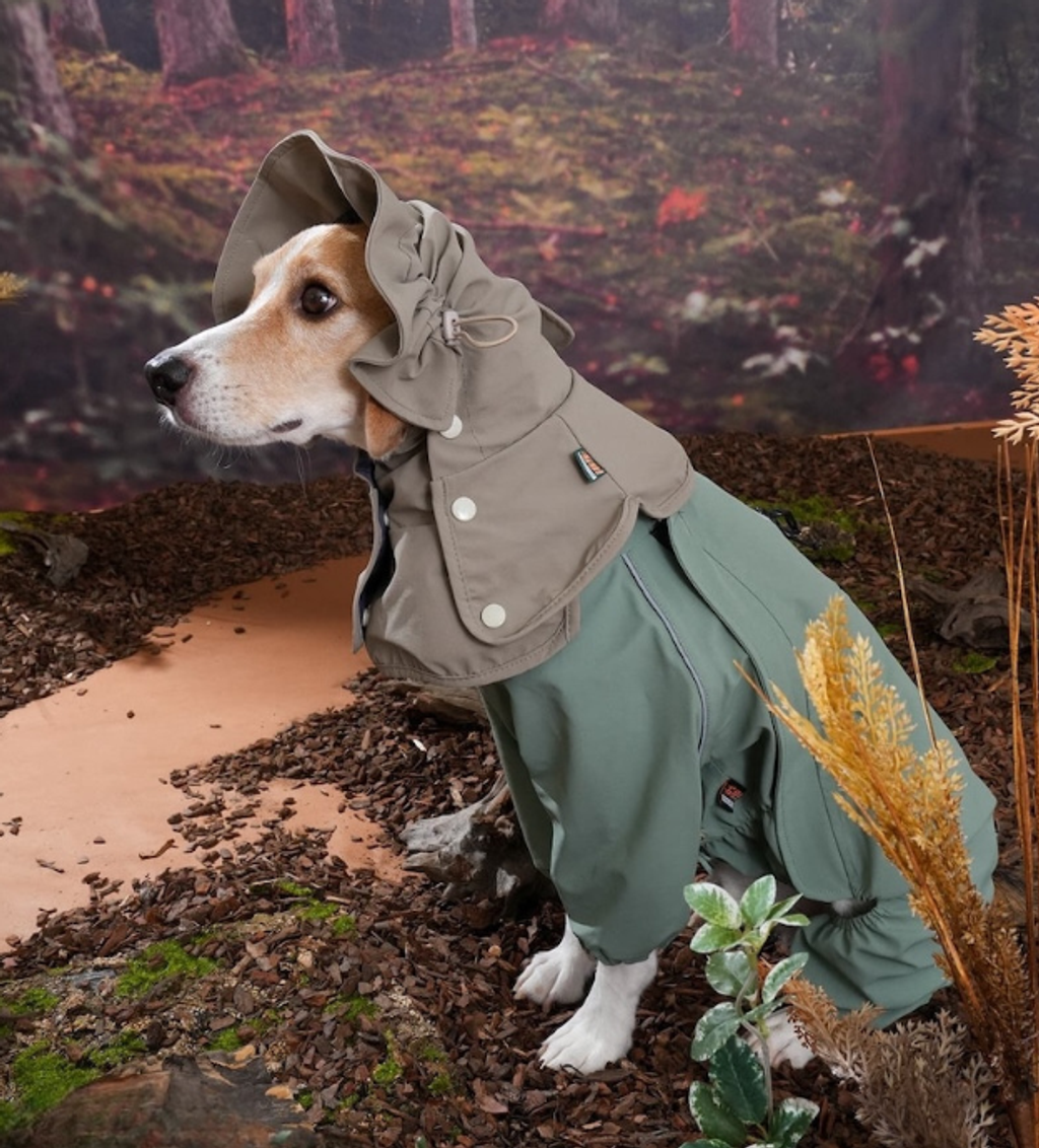 螢幕擷取畫面 2025-12-03 133439