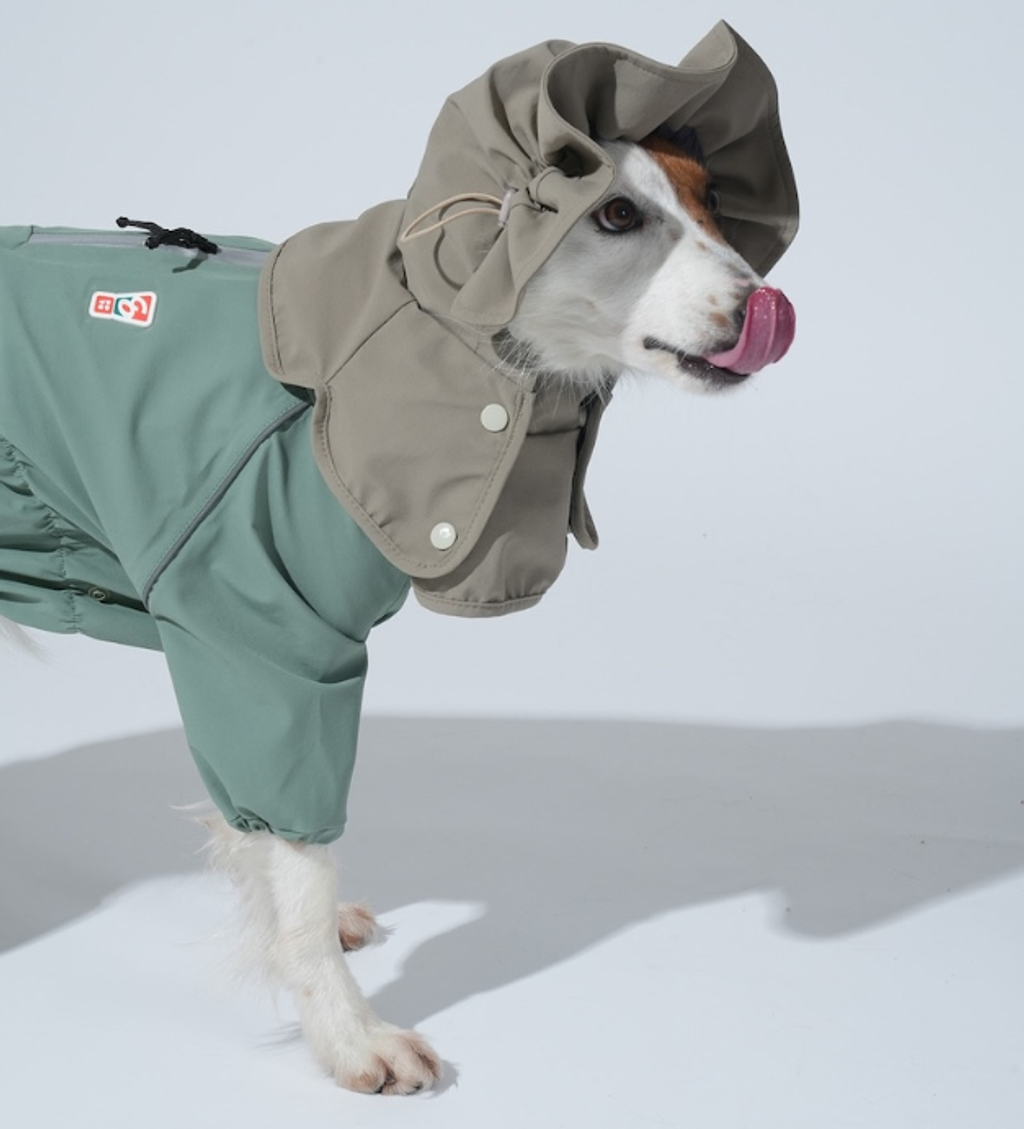 螢幕擷取畫面 2025-12-03 133432