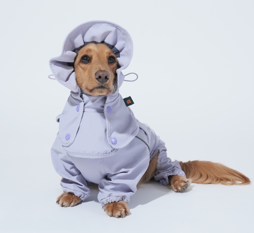 螢幕擷取畫面 2025-12-03 133410