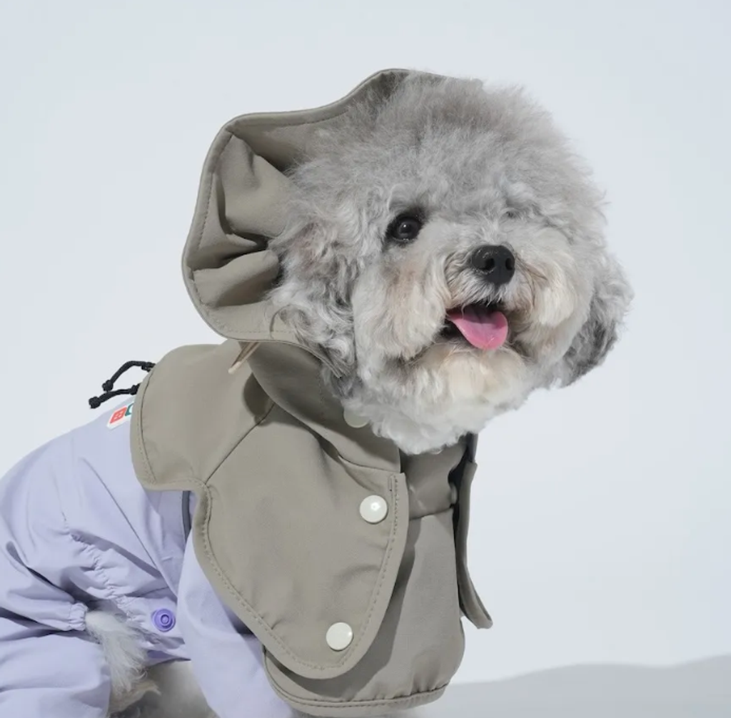 螢幕擷取畫面 2025-12-03 133346