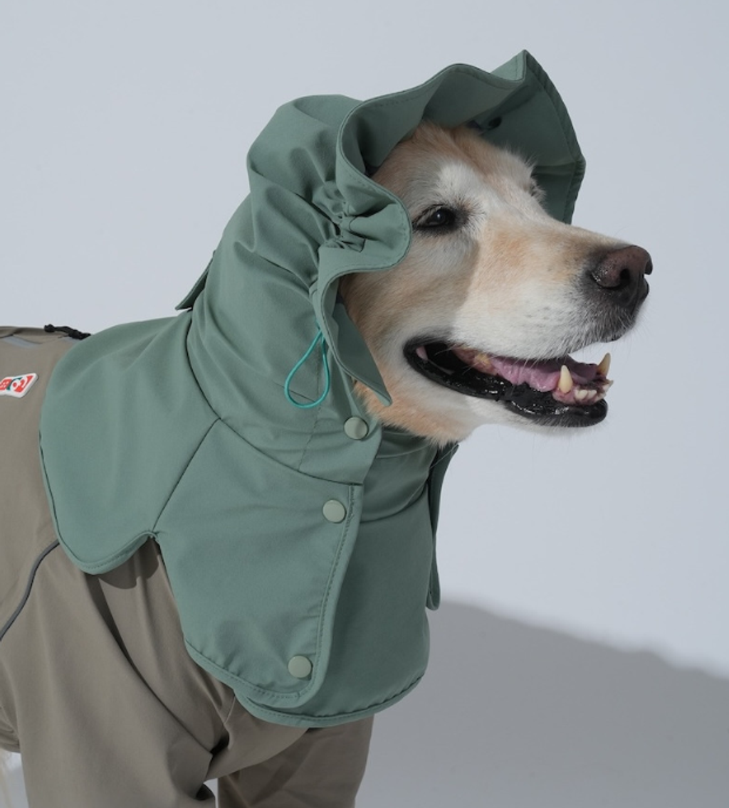 螢幕擷取畫面 2025-12-03 133633